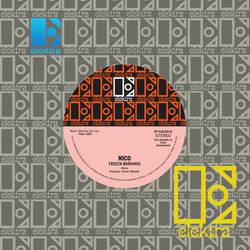 Nico : Frozen Warnings